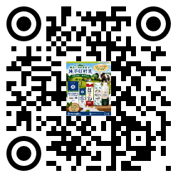 qrcode mobile url