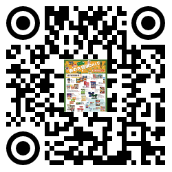qrcode mobile url