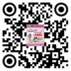 qrcode mobile url