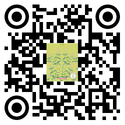 qrcode mobile url