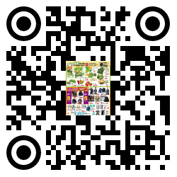 qrcode mobile url