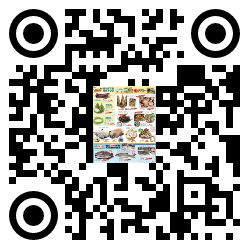 qrcode mobile url